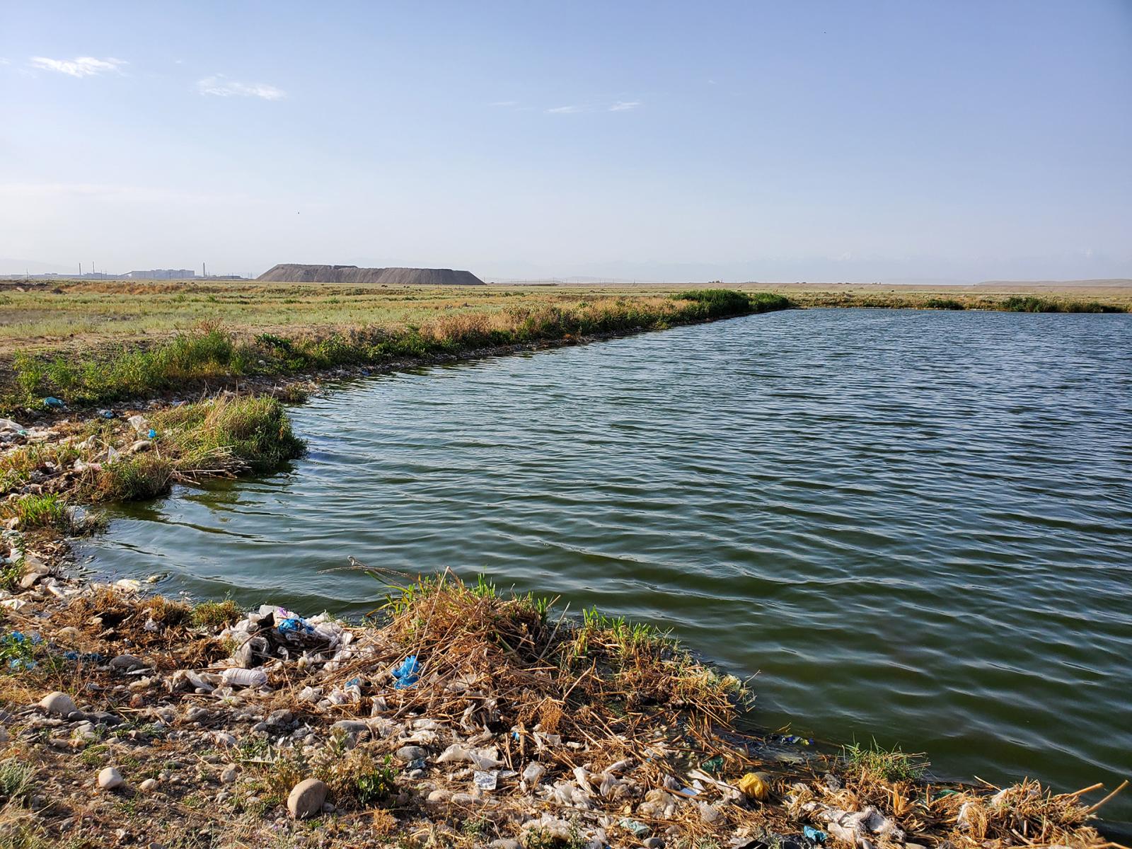 Edge of lake